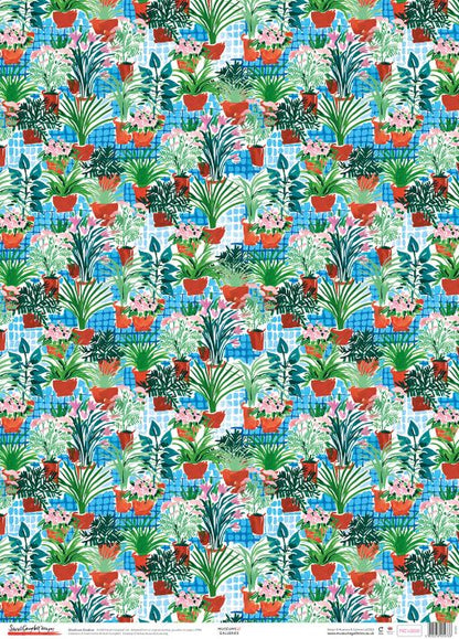 Sarah Campbell Glasshouse Gardener Gift Wrap Sheet