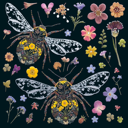 Helen Ahpornsiri Bumblebees Notecard Wallet