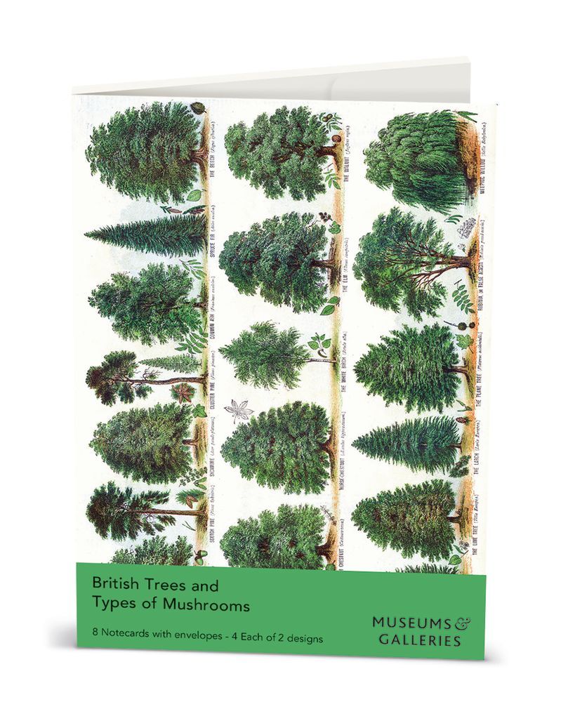The Boy’s Own Paper / Dr H.M. Menier British Tress & Types of Mushrooms Notecard Wallet