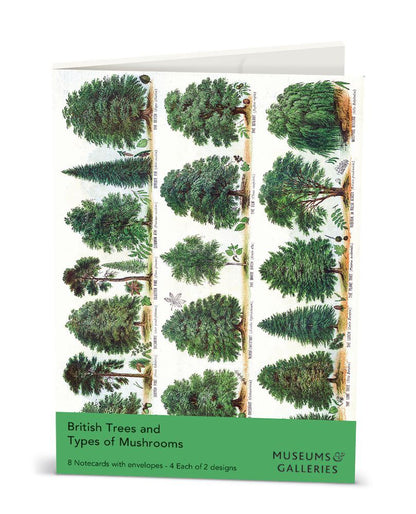 The Boy’s Own Paper / Dr H.M. Menier British Tress & Types of Mushrooms Notecard Wallet