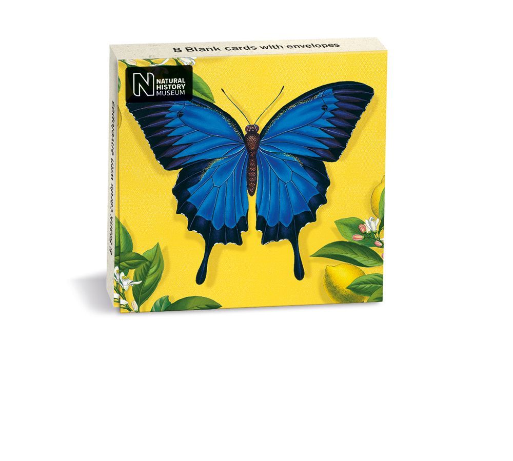 Natural History Museum Ulysses Butterfly Notecard Wallet