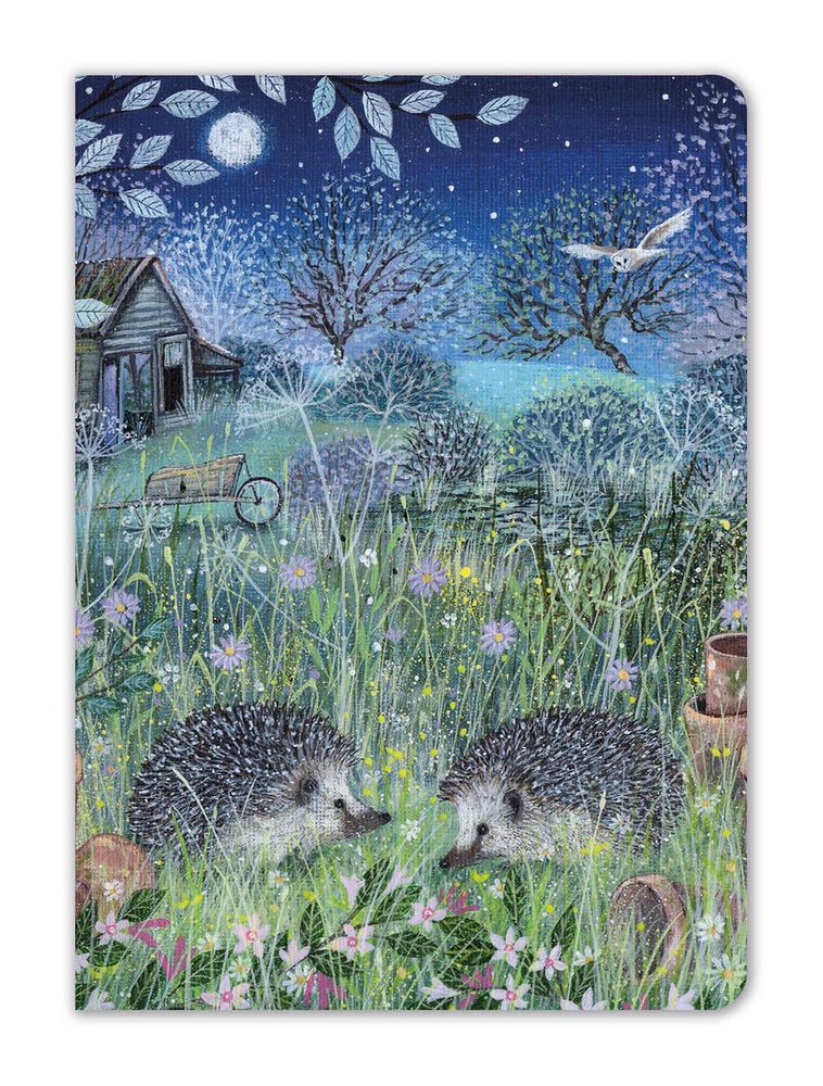 Hedgehogs - Mini Notebook