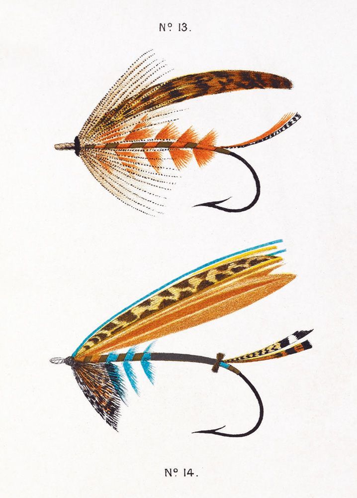 Fraser Sandeman Fishing Tackle Art Card