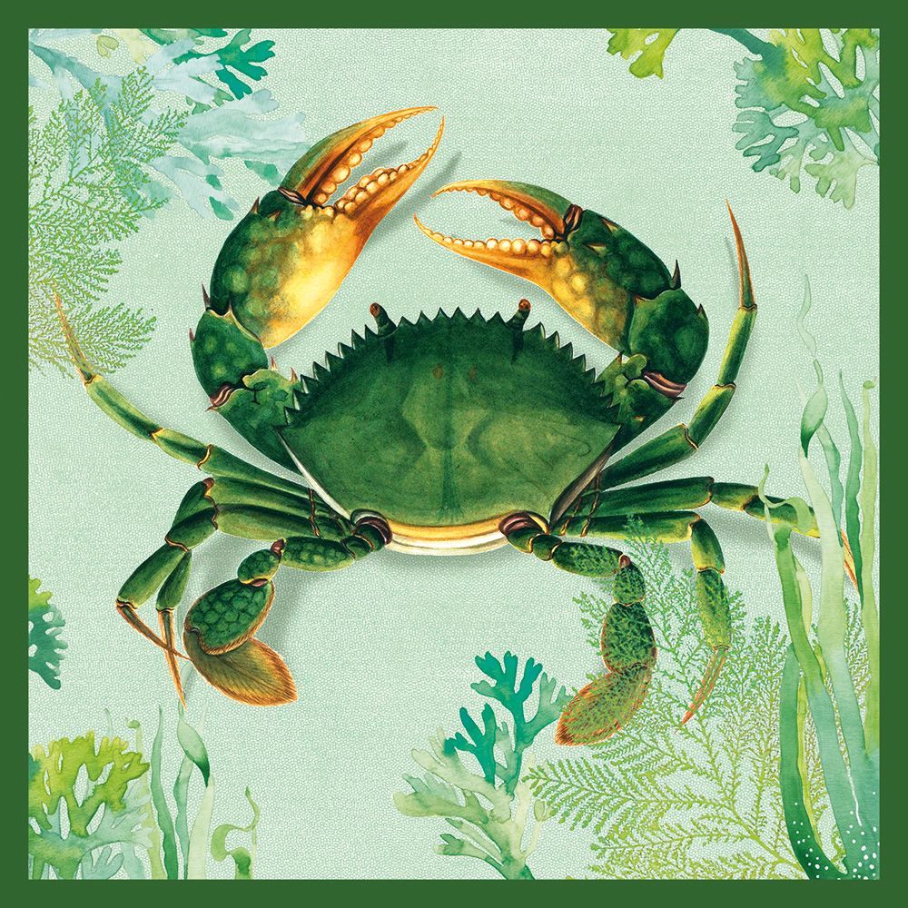 Natural History Museum Crab Art Card