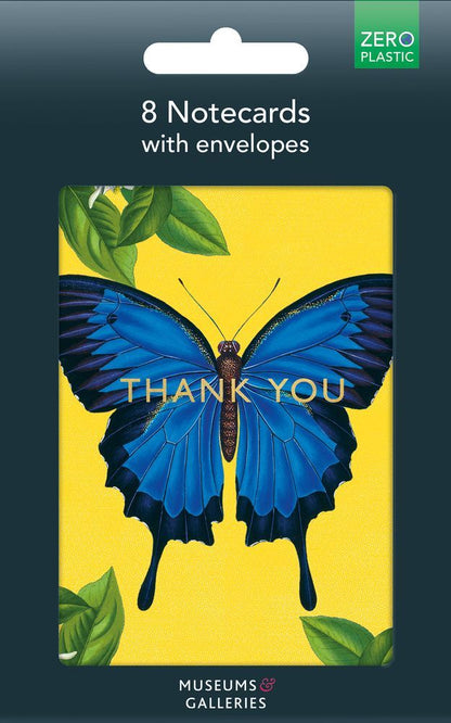Ulysses Butterfly - 8 Notecards with Envelopes