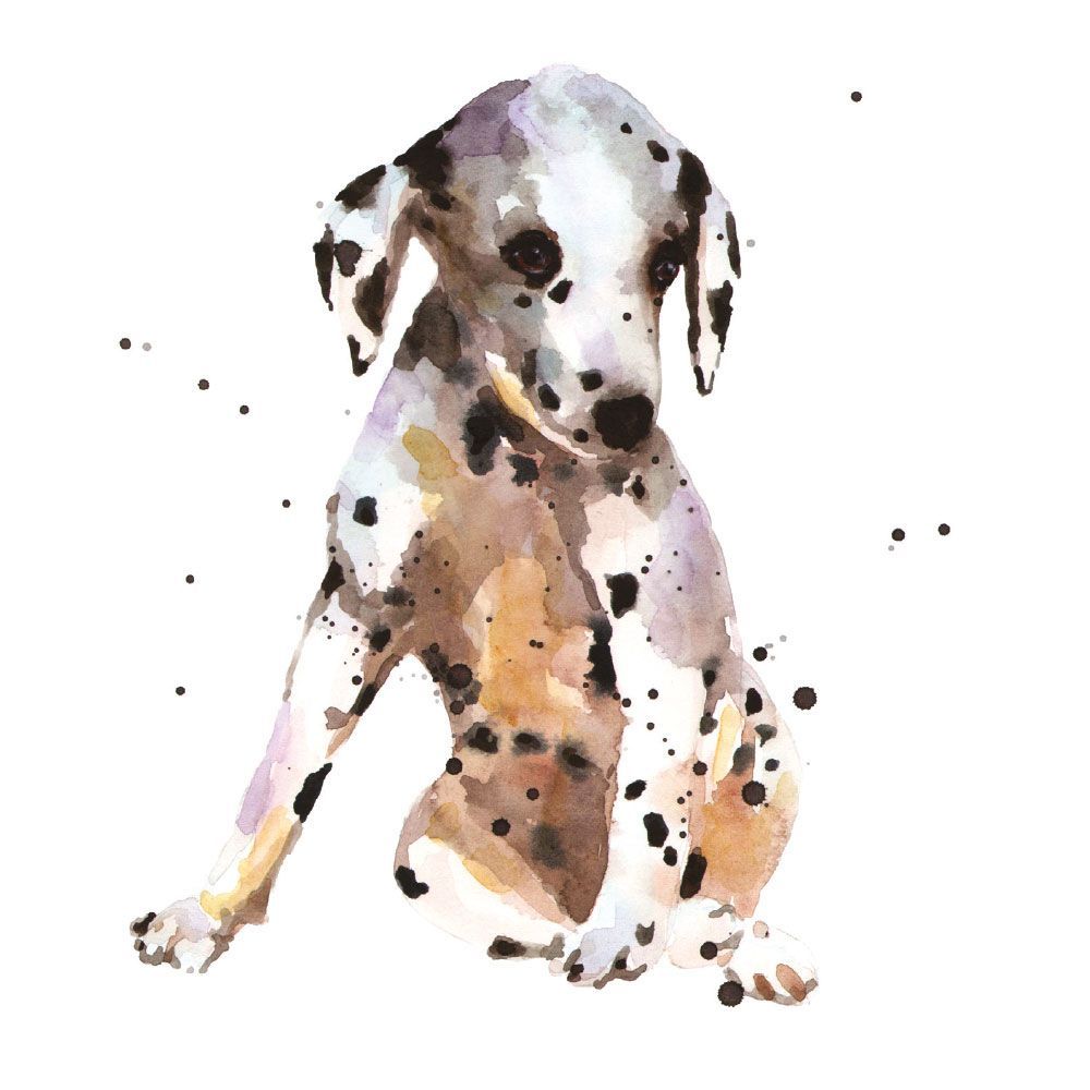 Alison Fennell Dalmatian Art Card
