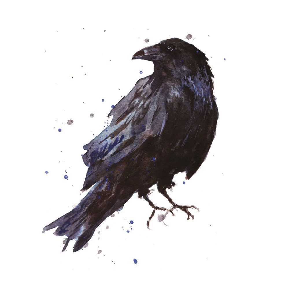 Alison Fennell Raven Art Card