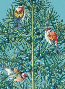A. Moor Three Goldfinches Christmas Card Pack