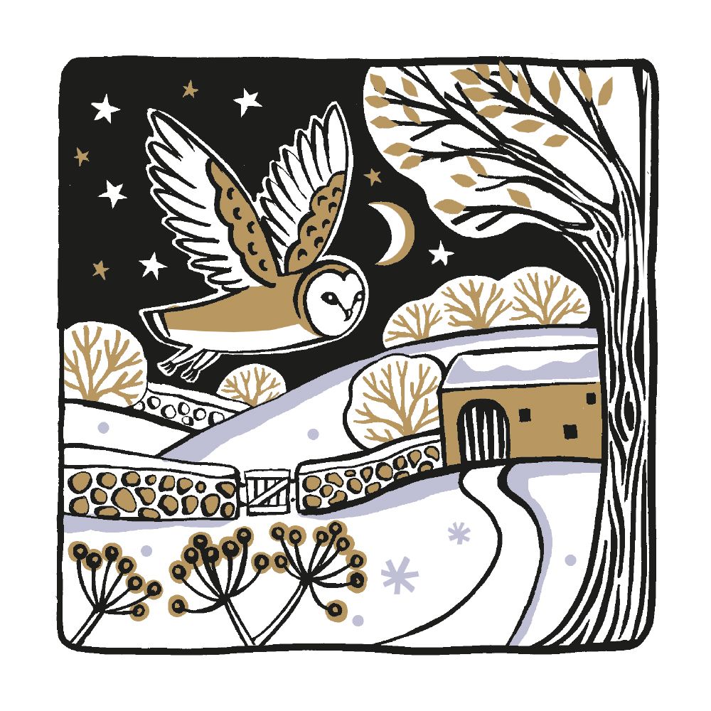 Deva Evans Country Owl Christmas Card Pack