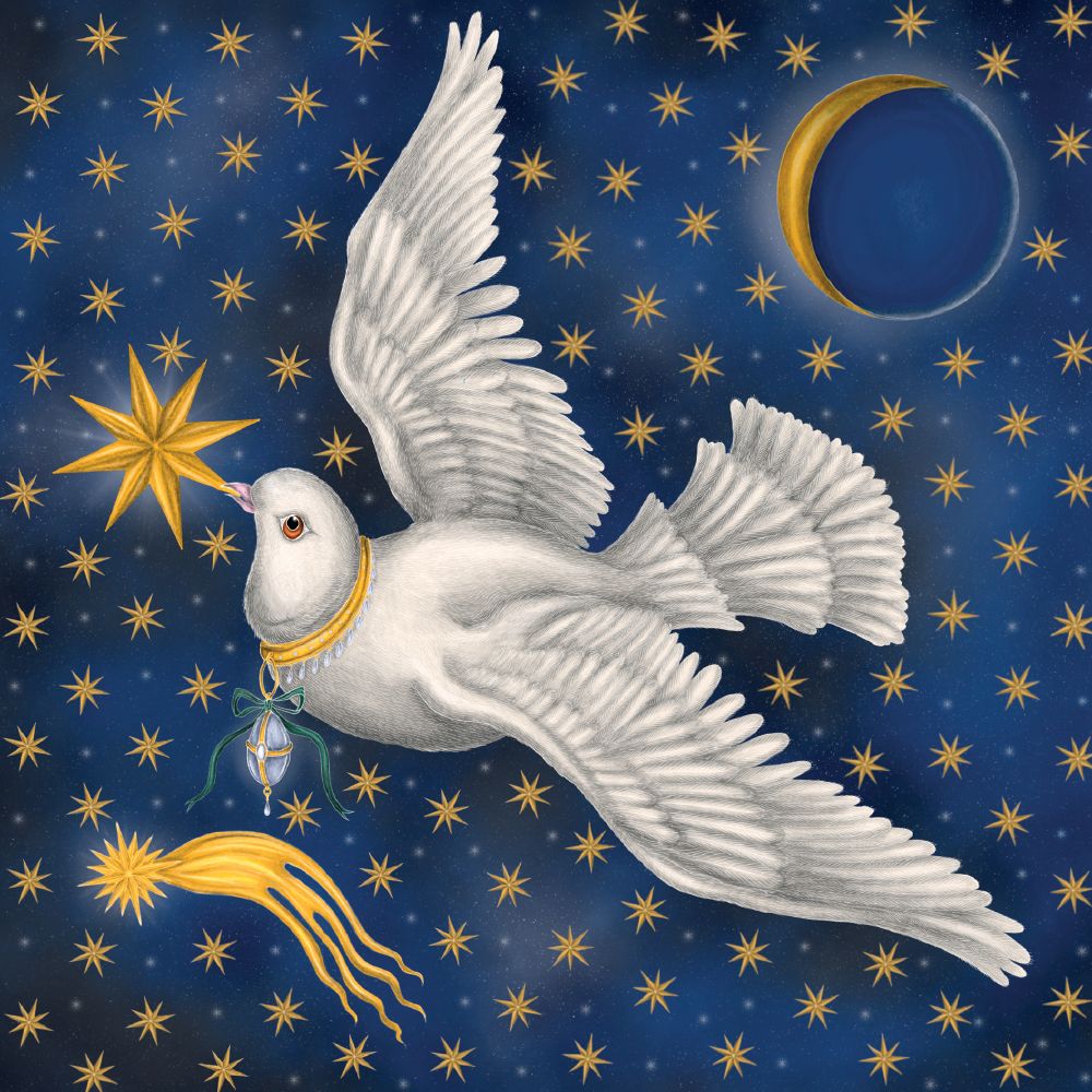 Catherine Rowe Catch a Falling Star Christmas Card Pack