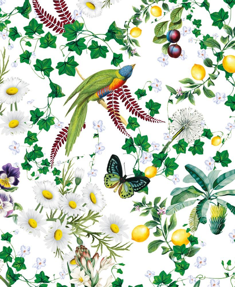 Mary Katrantzou Birds and Butterflies Notecard Wallet