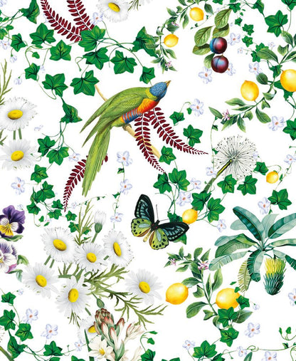 Mary Katrantzou Birds and Butterflies Notecard Wallet