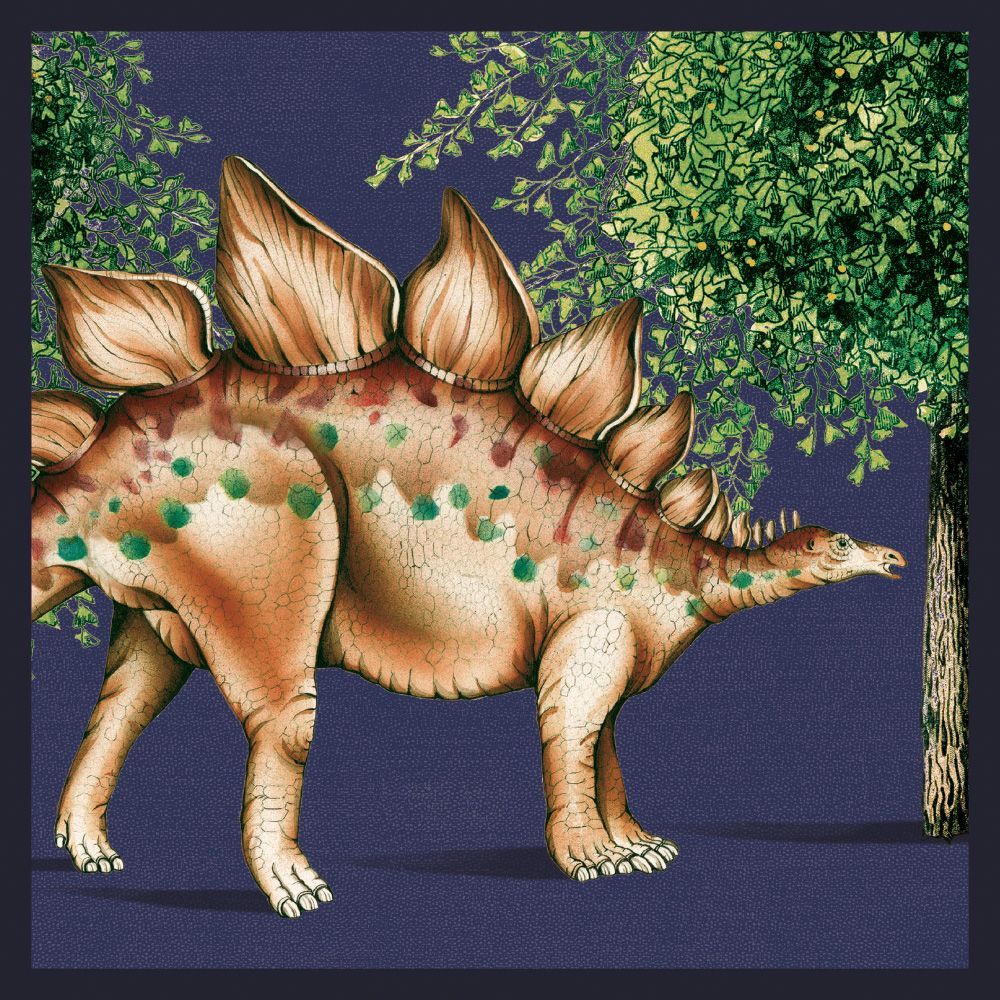 Natural History Museum Stegosaurus Art Card