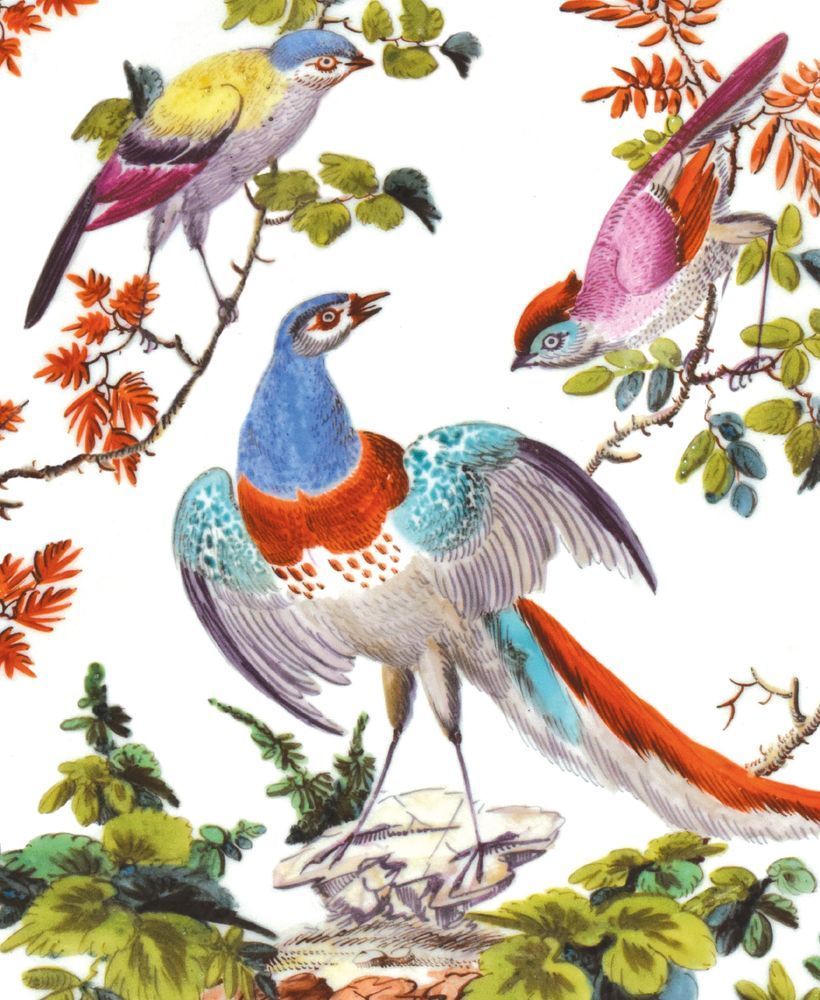 Chelsea Porcelain Factory Birds Chelsea Porcelain Art Card
