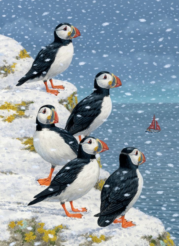 Sarah Adams Puffins in the Snow Christmas Card Pack