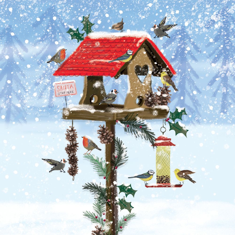 Karen Kane Festive Bird House Card Pack