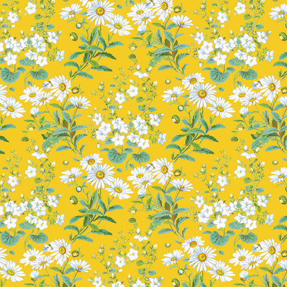 Charlotte Horne Spiers Yellow Daisies Gift Wrap Sheet