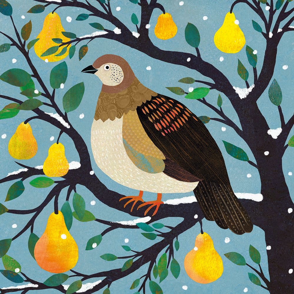 Tania Covo Partridge in a Pear Tree Christmas Card Pack