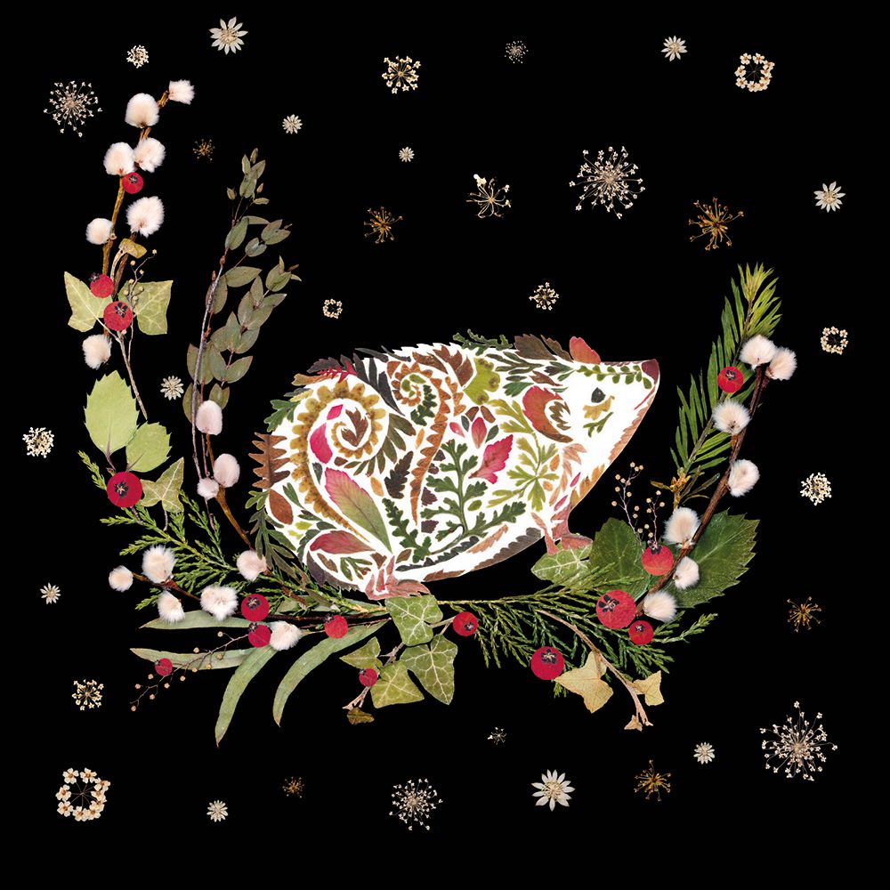 Helen Ahpornsiri Hedgehog Christmas Card Pack