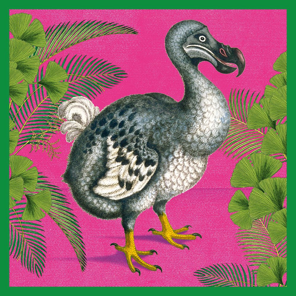 Natural History Museum Dodo Art Card