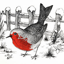 Buday collection Robin Redbreast Christmas Card Pack