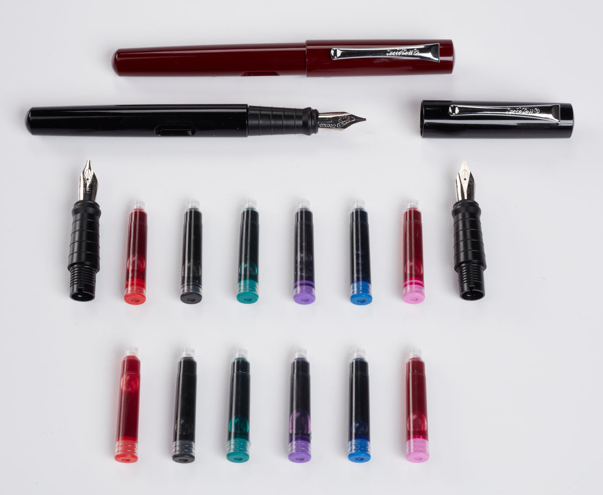 Speedball Calligraphy Fountain Pen Deluxe Set