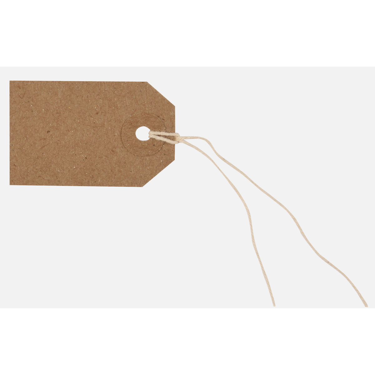 Tiger Buff Strung Tags 54 x 29mm – Box of 1000