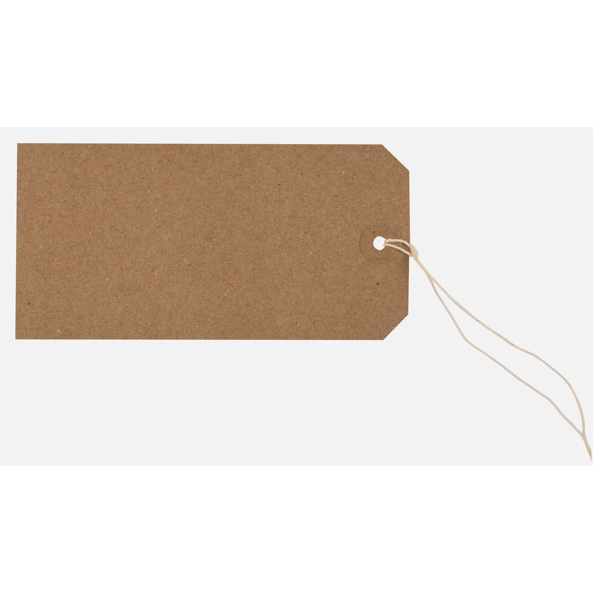 Tiger Buff Strung Tags 120 x 60mm – Box of 1000
