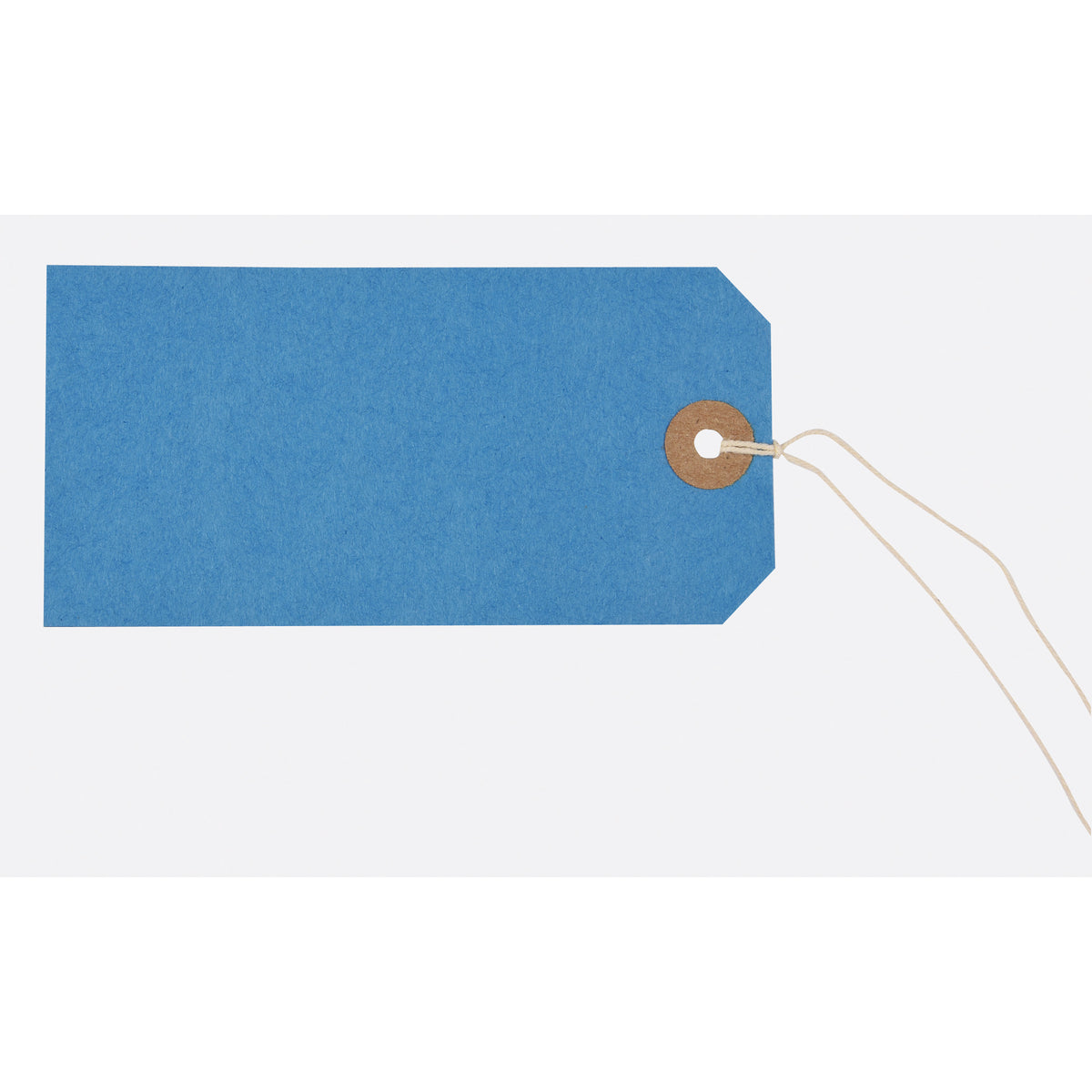 Tiger Blue Strung Tags 120 x 60mm – Box of 250