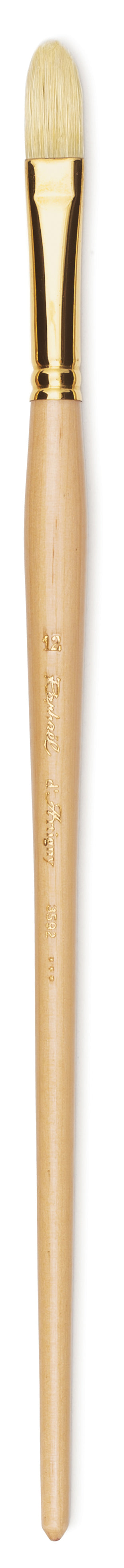 Raphaël D'Artigny Hog Bristle Filbert Brush, Series 3592 – Size 16