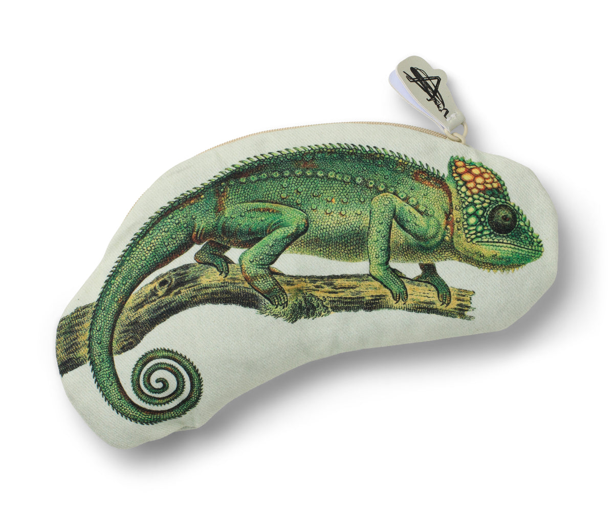 Bookaroo Eclectionery Pencil Case - Chameleon