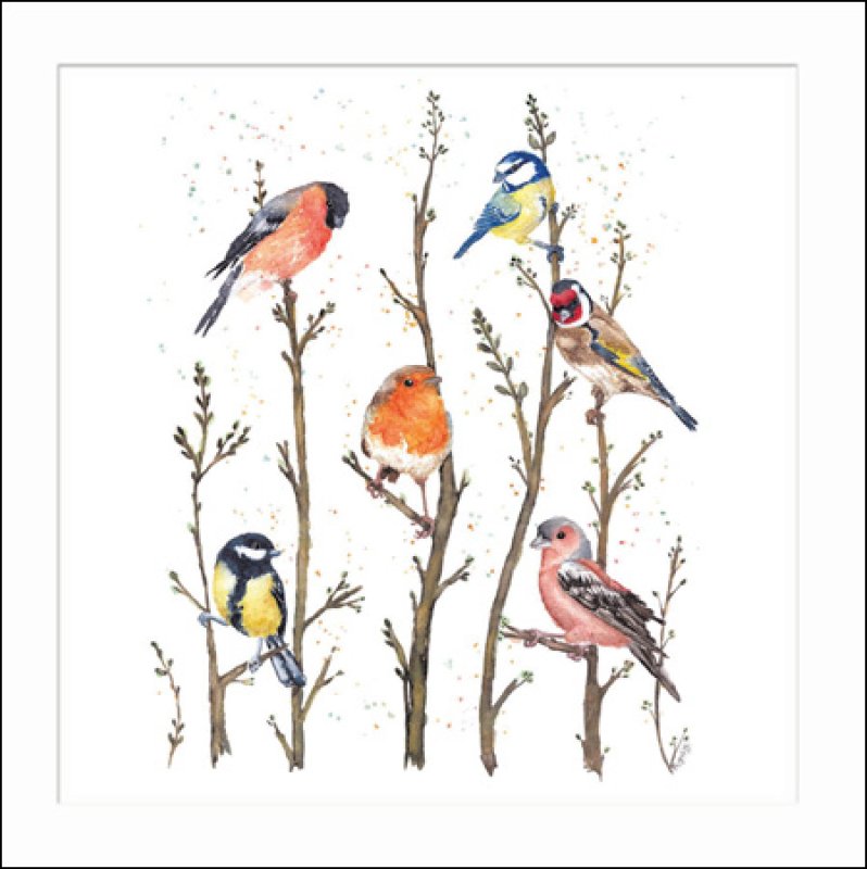 Millbank British Garden Birds Blank Greetings Card