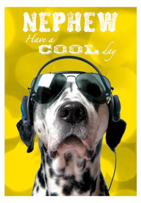 Spot On Dalmatian Cool Day Nephew Birthday Card