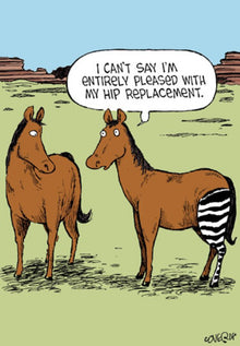 Hip Replacement Zebra Horse Cartoon Blank Greetings Card
