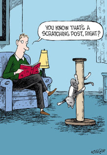 Scratching Post Cat Cartoon Blank Greetings Card
