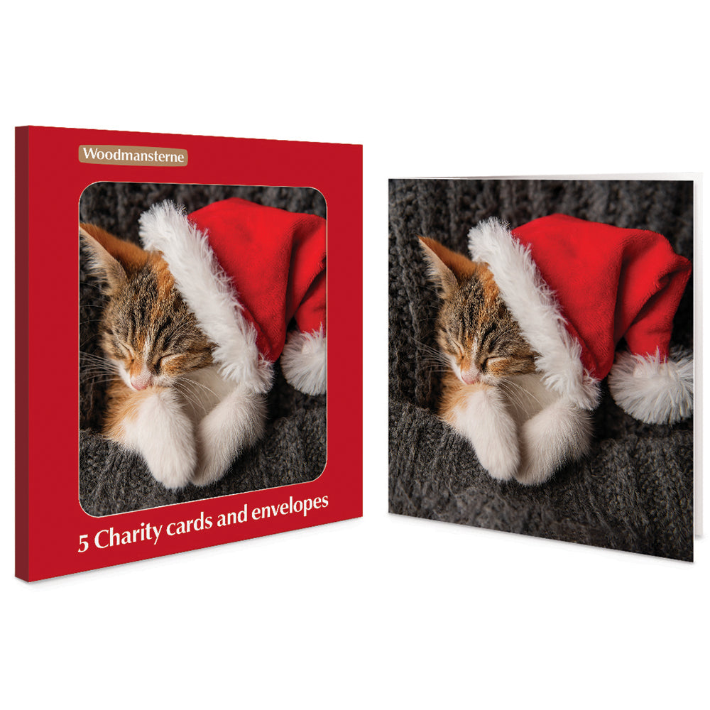 Sleepy Santa Kitten Charity Christmas Cards | Pack of 5