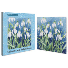 Winter Wonder Snowdrops Charity Christmas Cards | Pack of 5