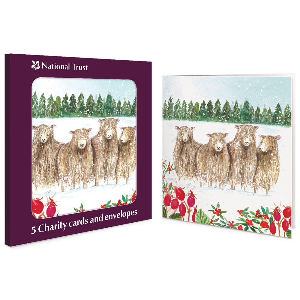 National Trust Snowy Sheep Charity Christmas Cards | Pack of 5