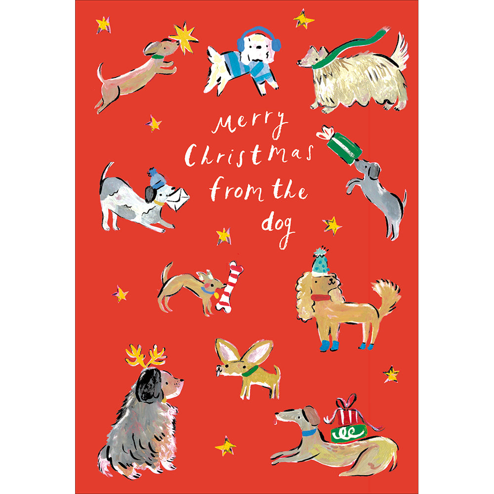 Merry Christmas from the Dog Christmas Card