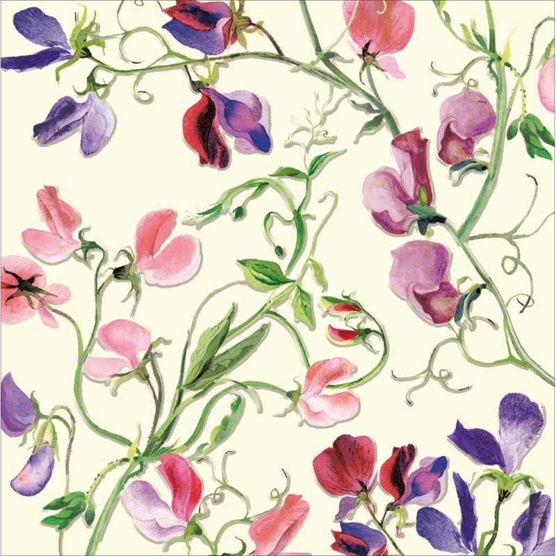 Emma Bridgewater Sweet Peas Blank Greetings Card