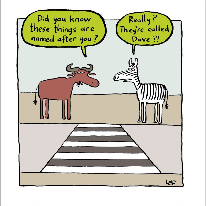 Zebra Crossing Called Dave Funny Blank Greetings Card