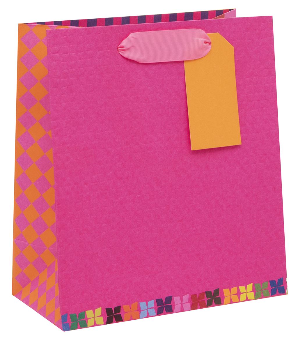 Colour Hub Pink Medium Gift Bag by Paper Salad