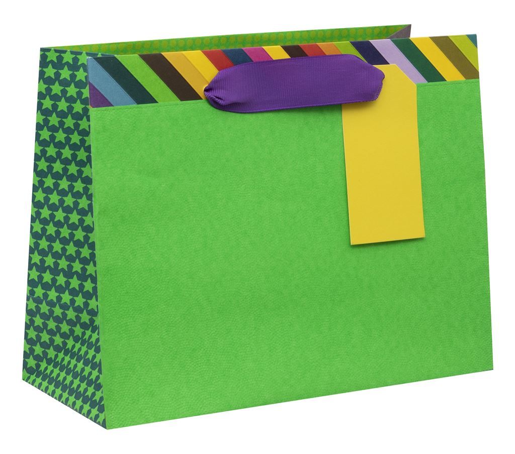 Colour Hub Green Medium Landscape Gift Bag by Paper Salad