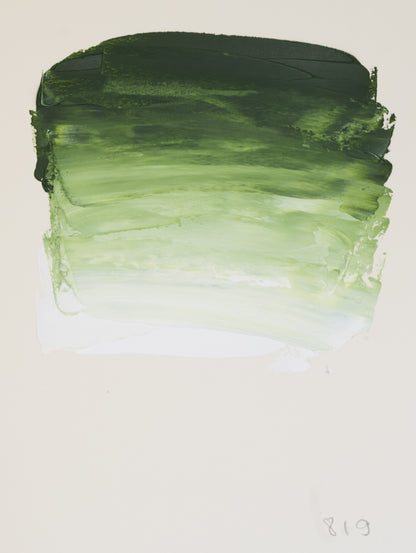 Sennelier Rive Gauche Fine Oil Colour 40ml – Sap Green 819