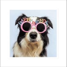 Party Pup Collie in Birthday Glasses Blank Greetings Card
