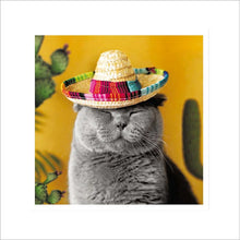 Mexicat Cat in a Sombrero Blank Greetings Card