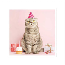 Purrrfect Party Cat in a Party Hat Blank Greetings Card