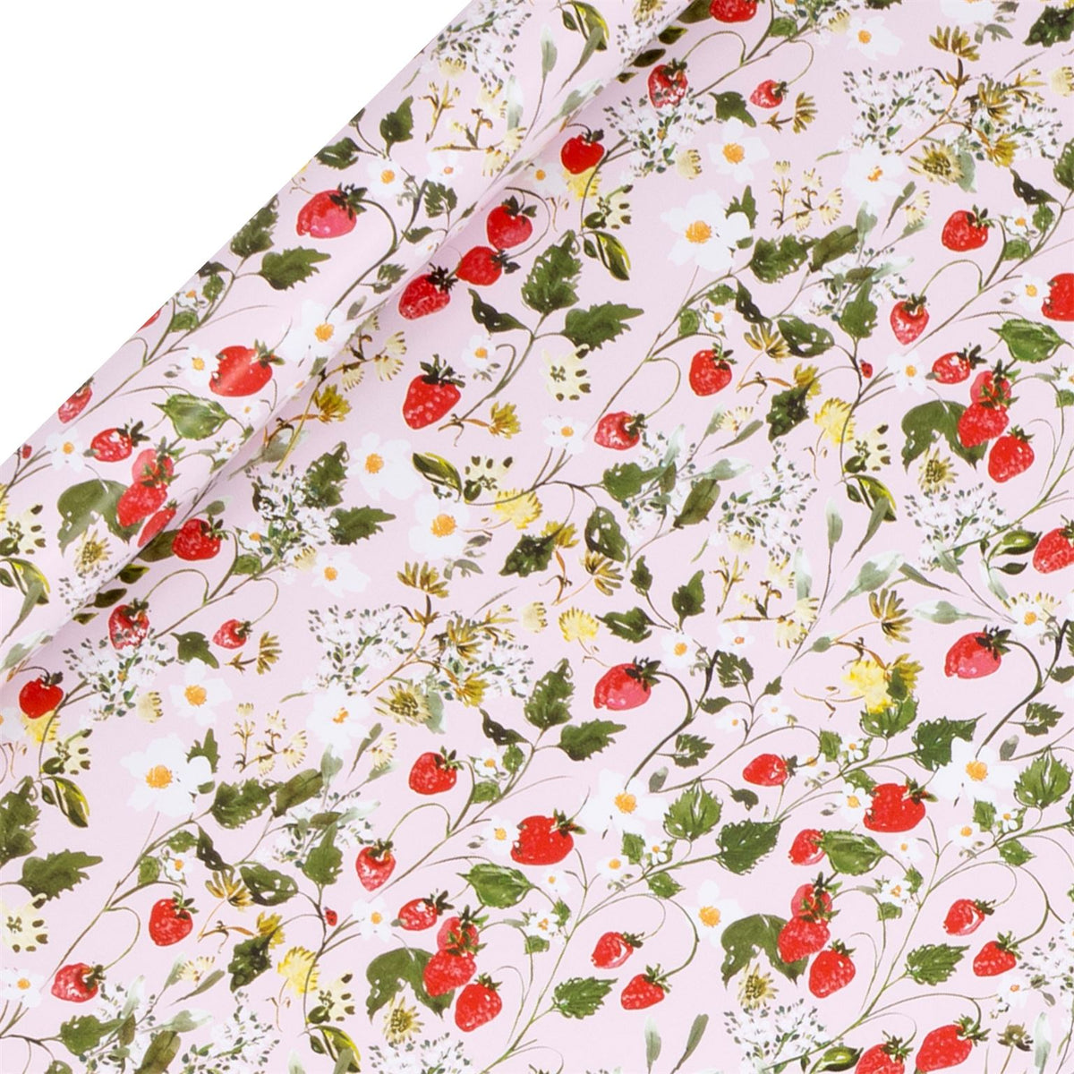 Strawberry Patch Wrapping Paper Roll (4m) by Stephanie Dyment