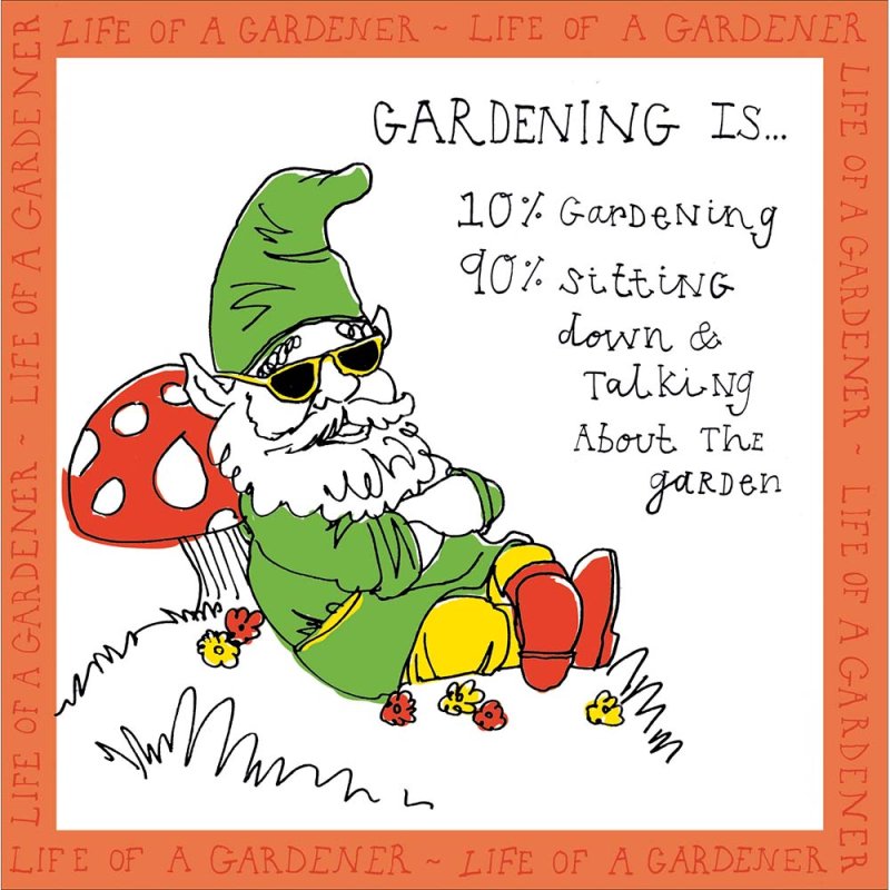 National Garden Scheme Garden Gnome Blank Greetings Card