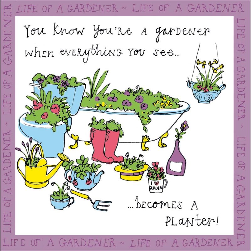 National Garden Scheme Exotic Planters Blank Greetings Card